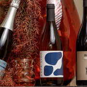 2025 Lepa Vida, Sauvignon Blanc, Vipavska Dolina, Slovenië
